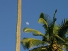 Hawaii Moon.jpg