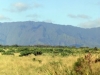 Mount Waieleele Panorama.jpg